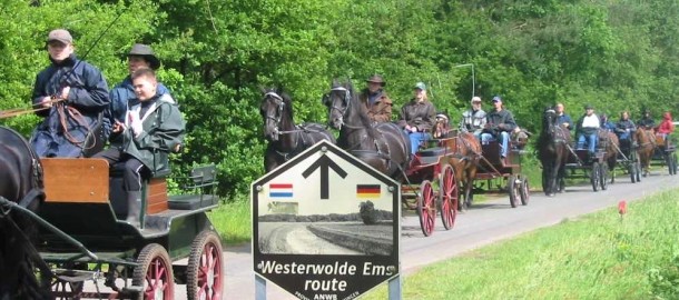 westerwolde